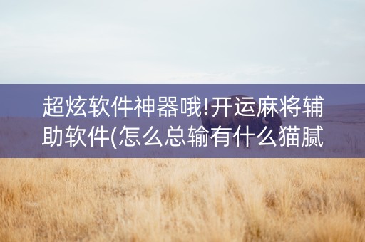 超炫软件神器哦!开运麻将辅助软件(怎么总输有什么猫腻)