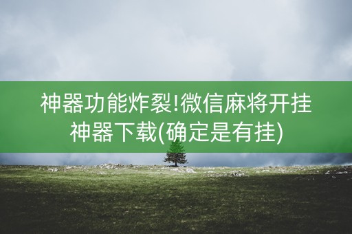 神器功能炸裂!微信麻将开挂神器下载(确定是有挂)