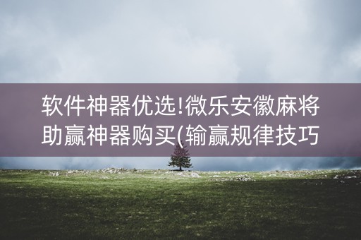 软件神器优选!微乐安徽麻将助赢神器购买(输赢规律技巧)