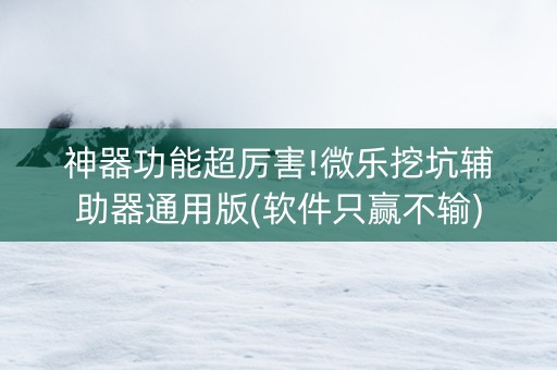 神器功能超厉害!微乐挖坑辅助器通用版(软件只赢不输)