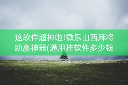 这软件超神啦!微乐山西麻将助赢神器(通用挂软件多少钱)