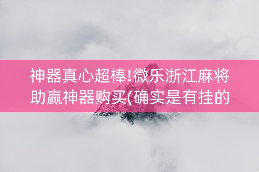 神器真心超棒!微乐浙江麻将助赢神器购买(确实是有挂的)