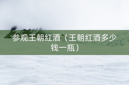 参观王朝红酒（王朝红酒多少钱一瓶）