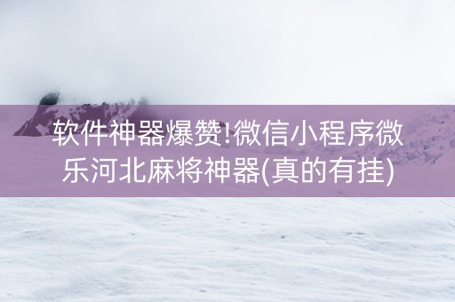 软件神器爆赞!微信小程序微乐河北麻将神器(真的有挂)