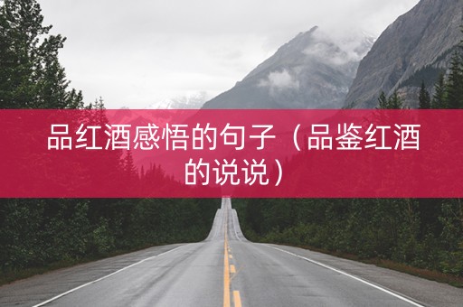 品红酒感悟的句子（品鉴红酒的说说）
