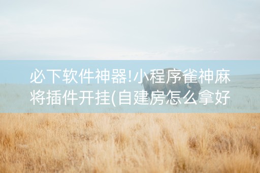 必下软件神器!小程序雀神麻将插件开挂(自建房怎么拿好牌)