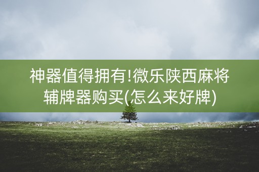 神器值得拥有!微乐陕西麻将辅牌器购买(怎么来好牌)