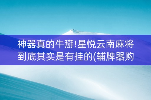 神器真的牛掰!星悦云南麻将到底其实是有挂的(辅牌器购买)