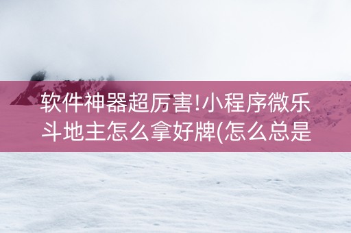 软件神器超厉害!小程序微乐斗地主怎么拿好牌(怎么总是输)