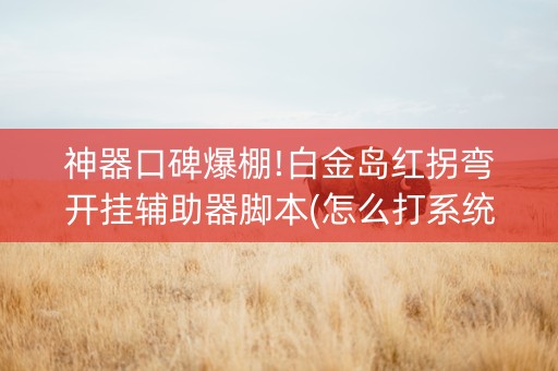 神器口碑爆棚!白金岛红拐弯开挂辅助器脚本(怎么打系统才能给好牌)