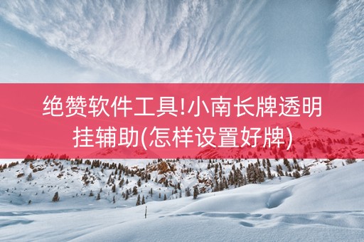 绝赞软件工具!小南长牌透明挂辅助(怎样设置好牌)