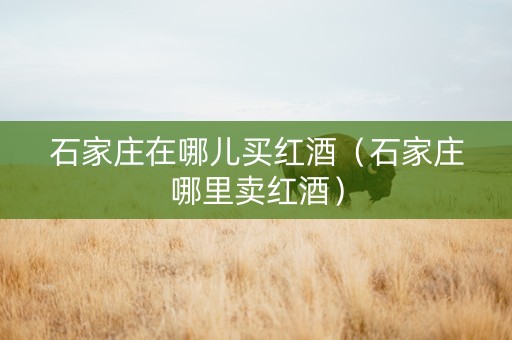 石家庄在哪儿买红酒（石家庄哪里卖红酒）