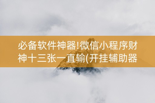 必备软件神器!微信小程序财神十三张一直输(开挂辅助器脚本)