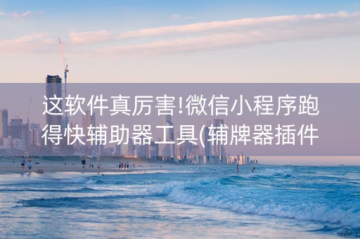 这软件真厉害!微信小程序跑得快辅助器工具(辅牌器插件购买)