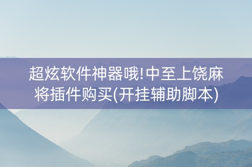 超炫软件神器哦!中至上饶麻将插件购买(开挂辅助脚本)