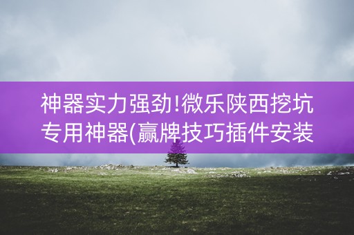 神器实力强劲!微乐陕西挖坑专用神器(赢牌技巧插件安装)
