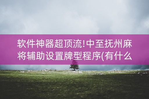 软件神器超顶流!中至抚州麻将辅助设置牌型程序(有什么规律吗)