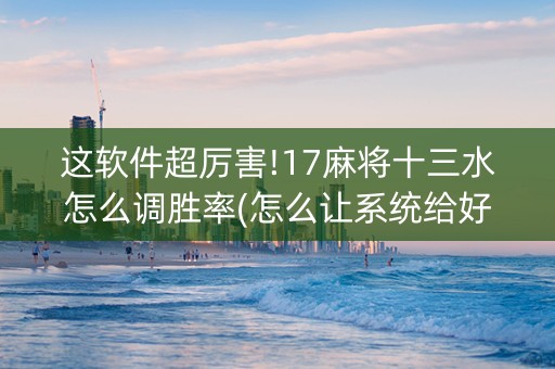 这软件超厉害!17麻将十三水怎么调胜率(怎么让系统给好牌)