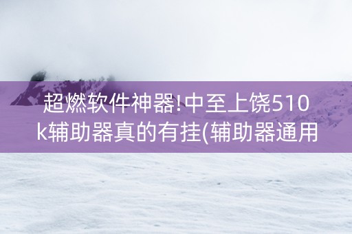 超燃软件神器!中至上饶510k辅助器真的有挂(辅助器通用版)
