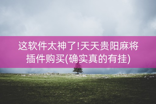 这软件太神了!天天贵阳麻将插件购买(确实真的有挂)