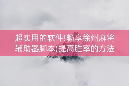 超实用的软件!畅享徐州麻将辅助器脚本(提高胜率的方法)