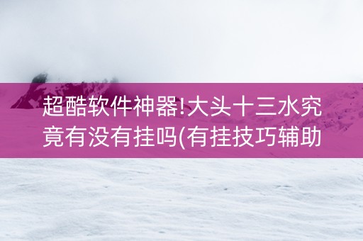 超酷软件神器!大头十三水究竟有没有挂吗(有挂技巧辅助器)