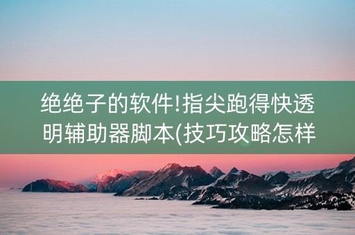绝绝子的软件!指尖跑得快透明辅助器脚本(技巧攻略怎样拿好牌)