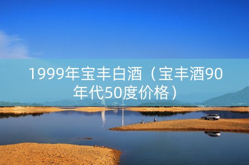 1999年宝丰白酒（宝丰酒90年代50度价格）