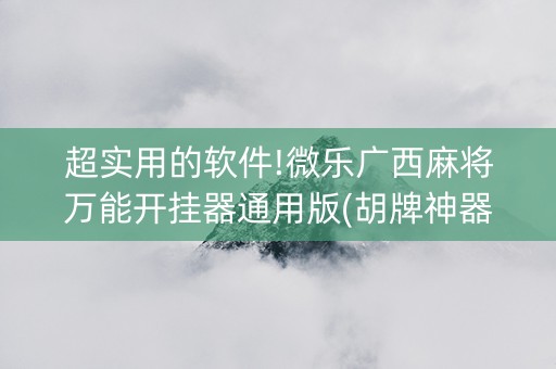超实用的软件!微乐广西麻将万能开挂器通用版(胡牌神器有猫腻吗)