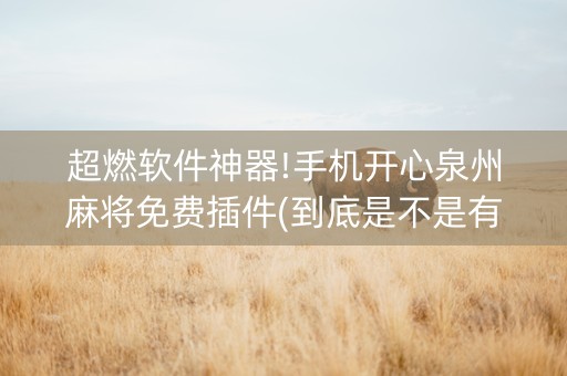 超燃软件神器!手机开心泉州麻将免费插件(到底是不是有挂)