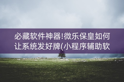 必藏软件神器!微乐保皇如何让系统发好牌(小程序辅助软件)