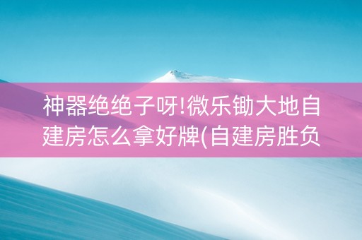 神器绝绝子呀!微乐锄大地自建房怎么拿好牌(自建房胜负规律)