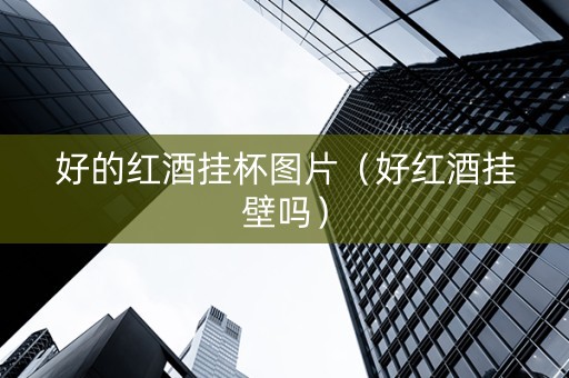 好的红酒挂杯图片（好红酒挂壁吗）