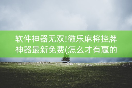 软件神器无双!微乐麻将控牌神器最新免费(怎么才有赢的几率)