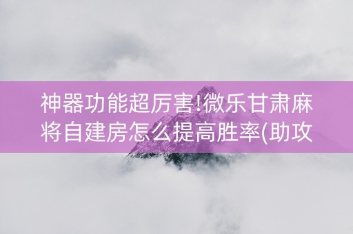 神器功能超厉害!微乐甘肃麻将自建房怎么提高胜率(助攻神器怎么才会赢)