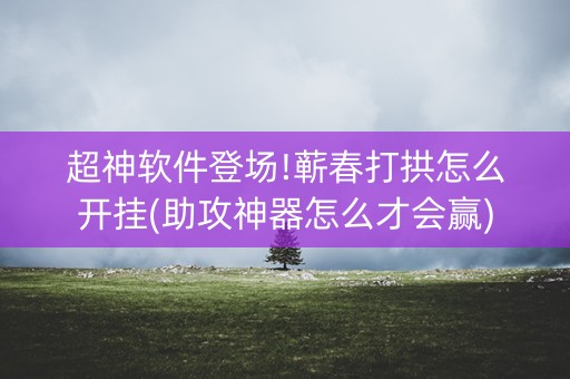 超神软件登场!蕲春打拱怎么开挂(助攻神器怎么才会赢)