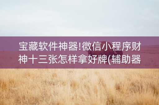 宝藏软件神器!微信小程序财神十三张怎样拿好牌(辅助器插件)