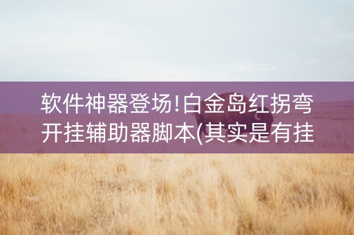 软件神器登场!白金岛红拐弯开挂辅助器脚本(其实是有挂的)