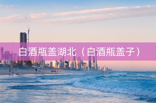 白酒瓶盖湖北（白酒瓶盖子）