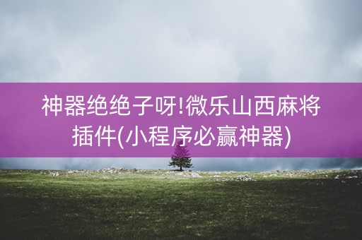 神器绝绝子呀!微乐山西麻将插件(小程序必赢神器)