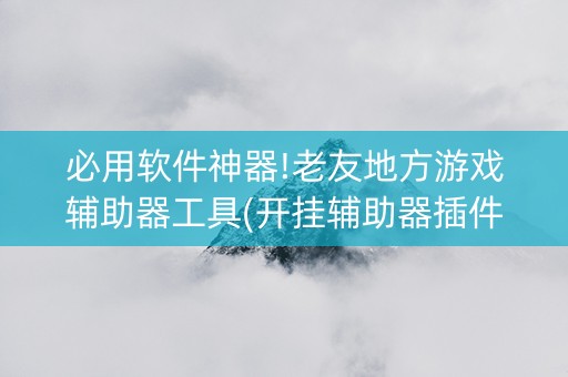 必用软件神器!老友地方游戏辅助器工具(开挂辅助器插件)