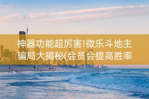 神器功能超厉害!微乐斗地主骗局大揭秘(会员会提高胜率吗)