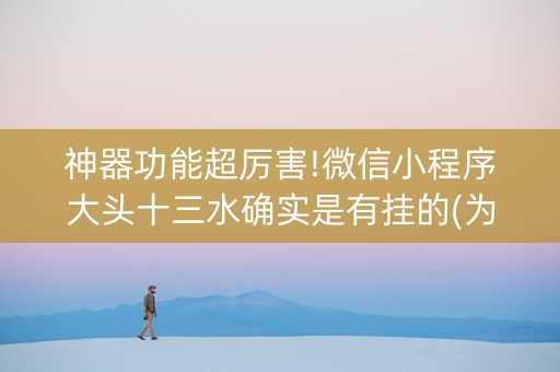 神器功能超厉害!微信小程序大头十三水确实是有挂的(为什么一直输)