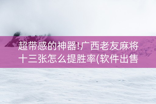 超带感的神器!广西老友麻将十三张怎么提胜率(软件出售)