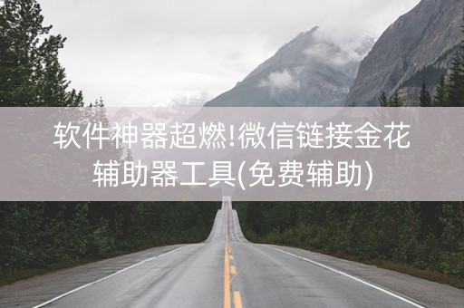 软件神器超燃!微信链接金花辅助器工具(免费辅助)