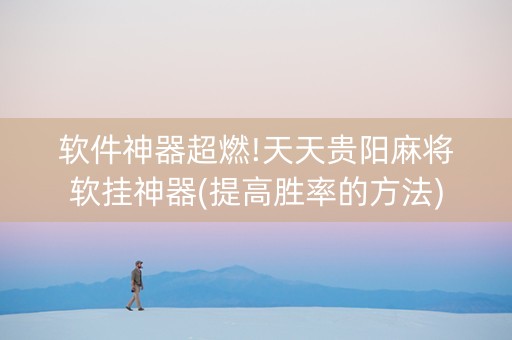软件神器超燃!天天贵阳麻将软挂神器(提高胜率的方法)