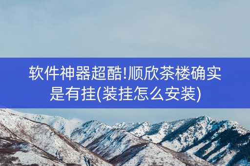 软件神器超酷!顺欣茶楼确实是有挂(装挂怎么安装)