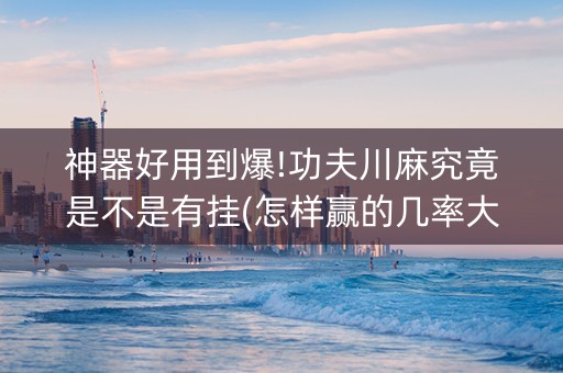 神器好用到爆!功夫川麻究竟是不是有挂(怎样赢的几率大)