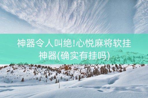神器令人叫绝!心悦麻将软挂神器(确实有挂吗)