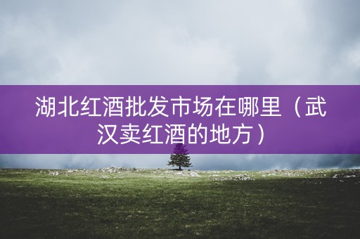 湖北红酒批发市场在哪里（武汉卖红酒的地方）